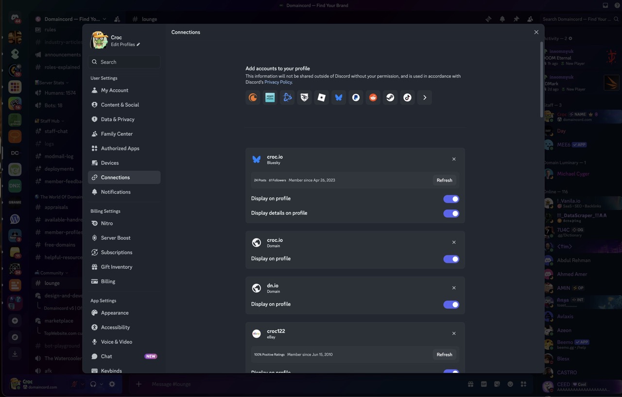 The Connections tab in Discord User Settings, showing existing connected accounts