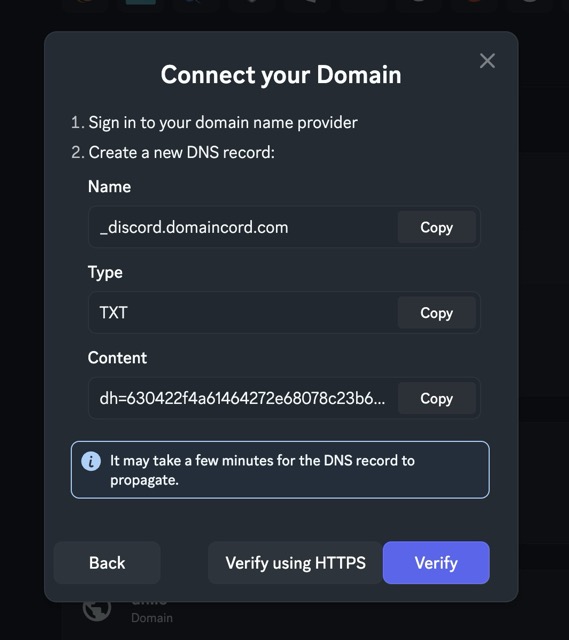 The Connect your Domain dialog showing DNS TXT record verification details